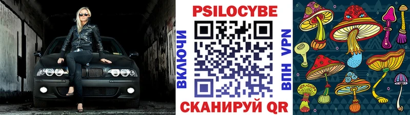 Галлюциногенные грибы Psilocybine cubensis  Лабытнанги 